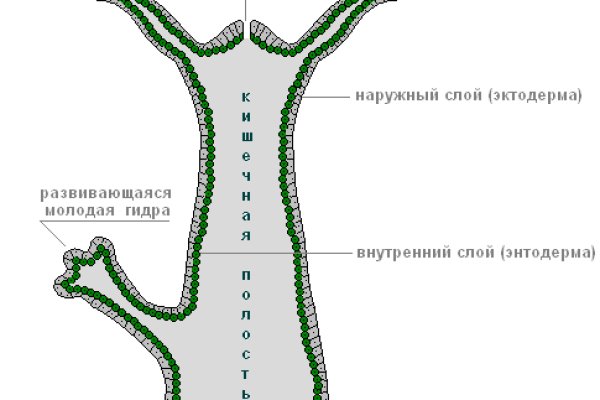 Kraken адрес даркнет